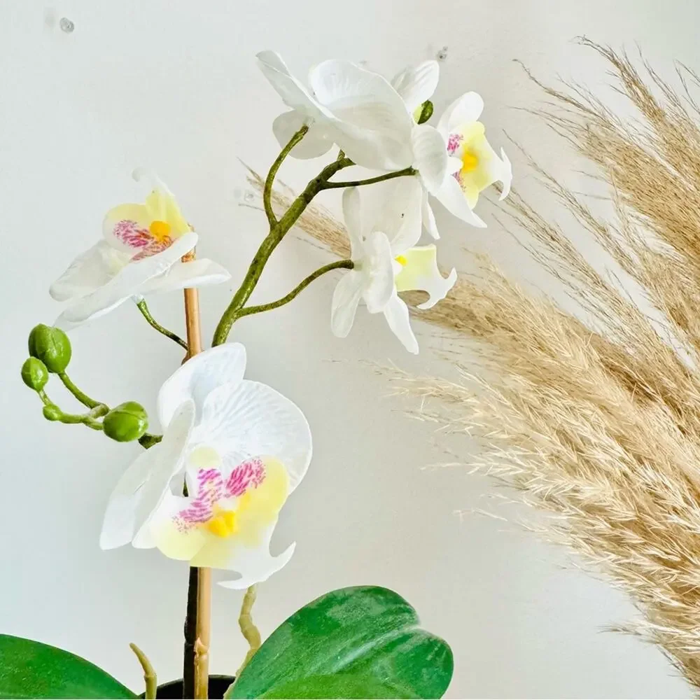 POTTERY BARN White Orchid Faux Plant Planter White Ceramic Etched Geo Pot Decor